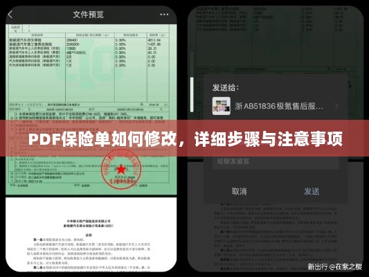 PDF保险单修改指南，步骤与注意事项全解析-图1
