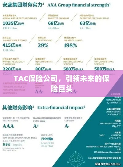 TAC保险公司，引领保险行业未来巨头之路-图1