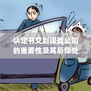 认定书交到保险公司的重要性及后续处理流程详解-图1
