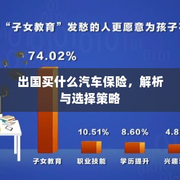 出国购车保险指南,解析与选择策略-图1 出国购车保险指南,解析与选择策略-图1