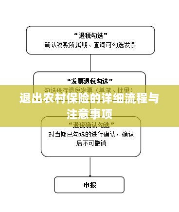 退出农村保险的详细流程与注意事项全解析-图1