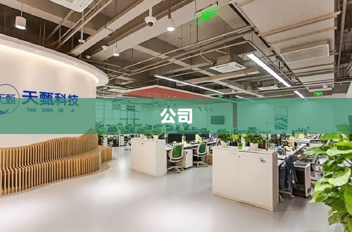 红星美凯龙董事总经理车建兴被留置调查-图1