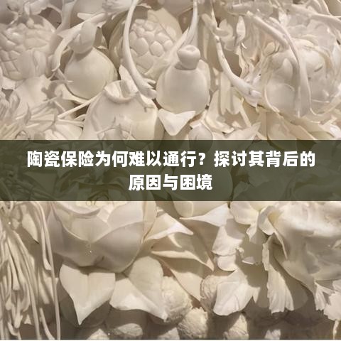 陶瓷保险难通行背后的原因与困境探讨-图1