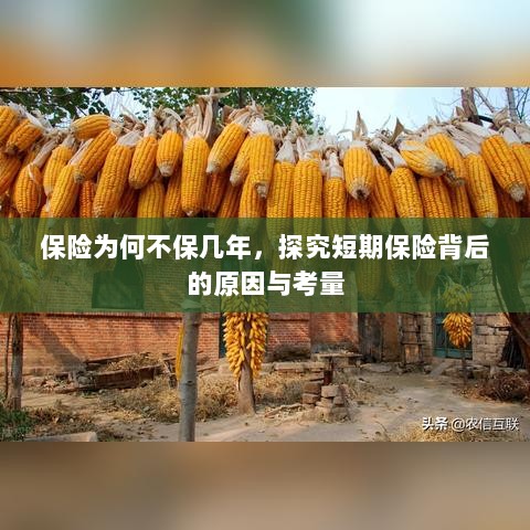 探究短期保险背后的原因与考量，为何保险不保多年？-图1