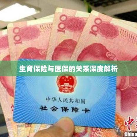 生育保险与医保关系的深度探讨-图1 生育保险与医保关系的深度探讨-图1