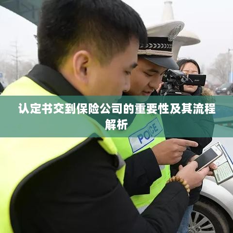 认定书交到保险公司的流程解析与重要性探讨-图1 认定书交到保险公司的流程解析与重要性探讨-图1