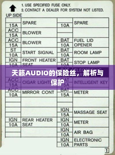天籁AUDIO保险丝解析与保护指南-图1 天籁AUDIO保险丝解析与保护指南-图1