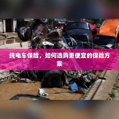纯电车保险,如何挑选更经济的保险方案?-图1 纯电车保险,如何挑选更经济的保险方案?-图1