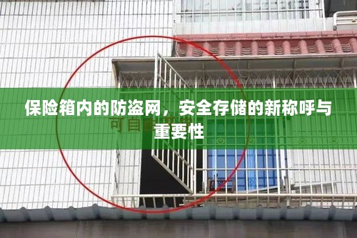 保险箱内防盗网,安全存储的新称呼及其重要性-图1 保险箱内防盗网,安全存储的新称呼及其重要性-图1