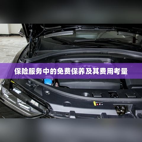 保险服务中的免费保养费用深度解析-图1 保险服务中的免费保养费用深度解析-图1