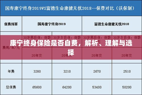 康宁终身保险的自费问题解析与选择策略-图1