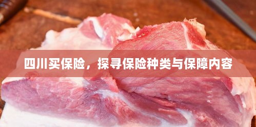 四川保险探秘，种类与保障内容全解析-图1