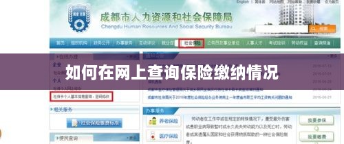 网上查询保险缴纳情况攻略-图1 网上查询保险缴纳情况攻略-图1