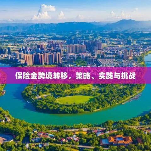 保险金跨境转移，策略实施、实践探索与面临的挑战-图1