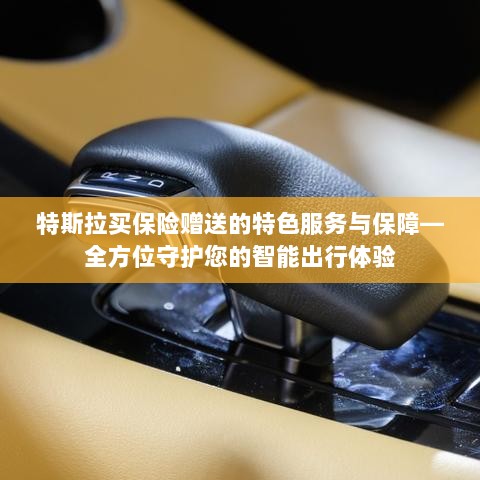 特斯拉保险特色服务，全方位保障智能出行体验-图1