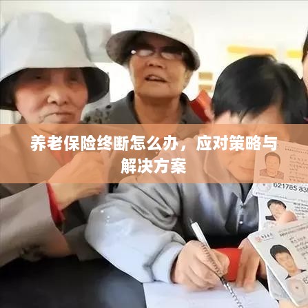 养老保险中断应对指南，解决方案与策略-图1
