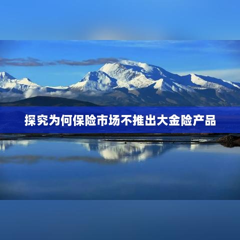 保险市场为何不推出大金险产品探究-图1