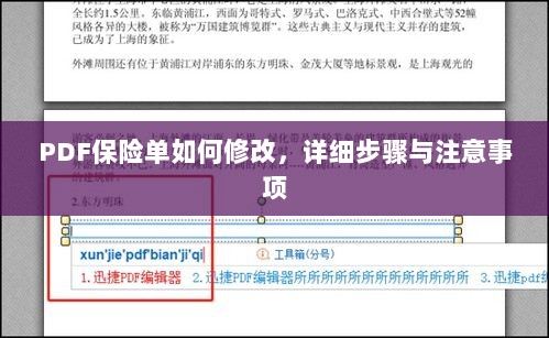 PDF保险单修改指南，步骤与注意事项全解析-图1