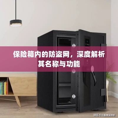 保险箱内防盗网,名称与功能的深度解析-图1 保险箱内防盗网,名称与功能的深度解析-图1