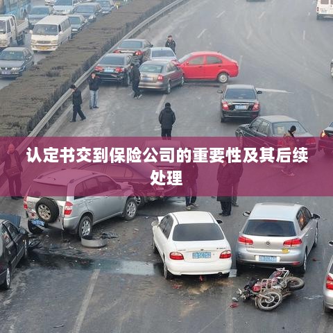 认定书交到保险公司的重要性及后续处理流程详解-图1