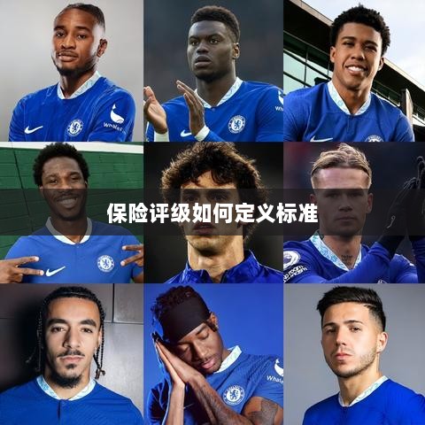 保险评级标准定义解析-图1 保险评级标准定义解析-图1