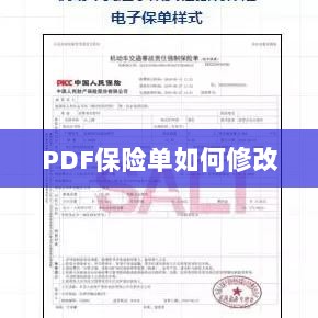 PDF保险单修改指南-图1 PDF保险单修改指南-图1
