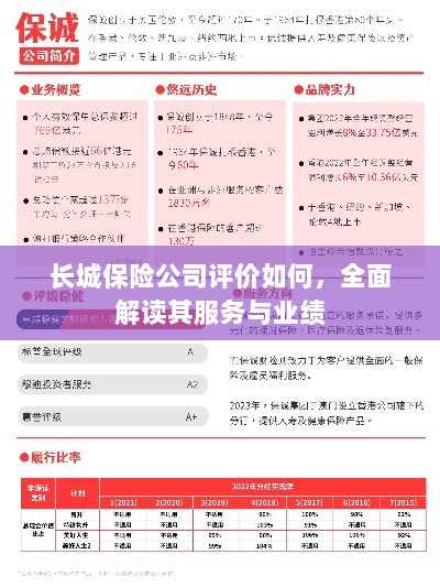 长城保险公司评价全面解析，服务质量与业绩表现深度探讨-图1