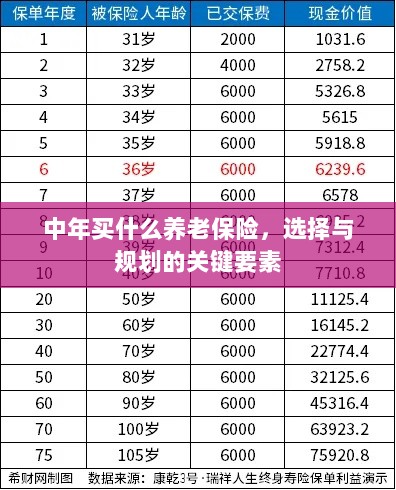 中年养老保险选择与规划的关键要素解析-图1