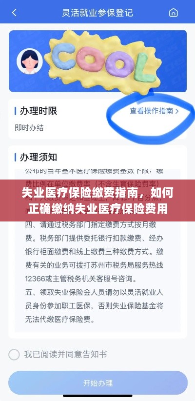 失业医疗保险缴费详解，如何正确缴纳费用指南-图1
