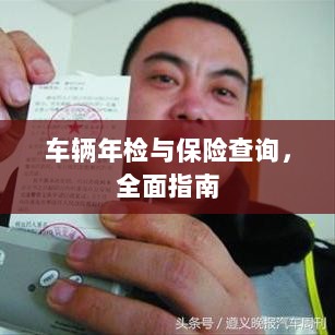 车辆年检与保险查询，全面指南解析-图1