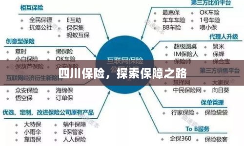 四川保险，探索全方位保障之路-图1
