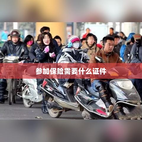 参加保险所需证件概览-图1 参加保险所需证件概览-图1