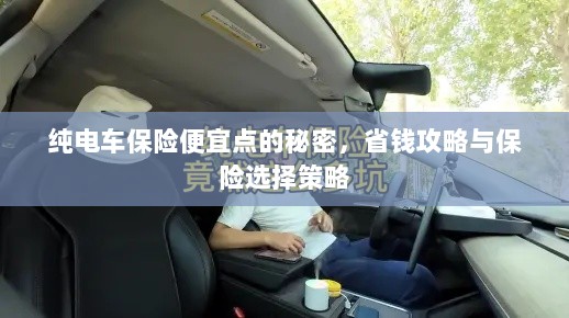 纯电车保险省钱攻略，如何挑选更便宜的保险与保险选择策略-图1