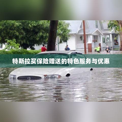 特斯拉保险特惠，买保险即享特色服务与优惠大礼包-图1