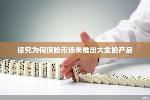 保险市场为何未推出大金险产品探究-图1