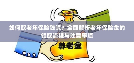 全面解析，老年保险金的领取流程与注意事项指南——如何顺利领取老年保险金？-图1