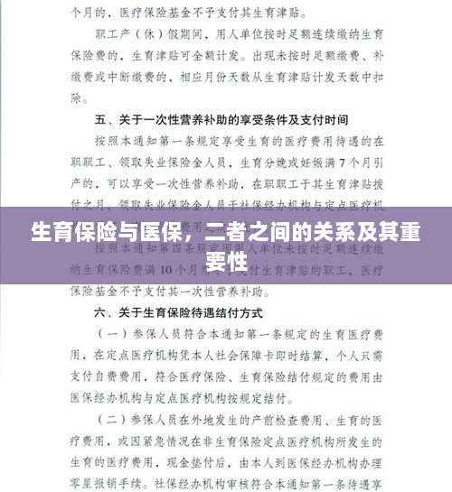 生育保险与医保，二者的关联及其重要性解析-图1