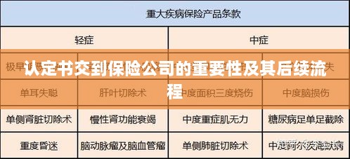 认定书对保险公司的重要性及后续流程详解-图1 认定书对保险公司的重要性及后续流程详解-图1