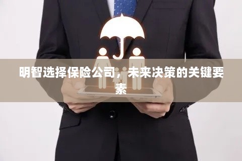 明智选择保险公司,未来决策的关键要素概览-图1 明智选择保险公司,未来决策的关键要素概览-图1