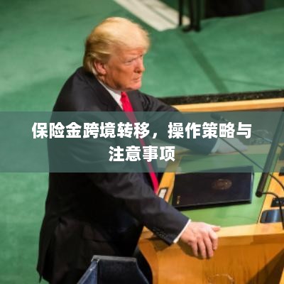 保险金跨境转移,操作策略及注意事项指南-图1 保险金跨境转移,操作策略及注意事项指南-图1