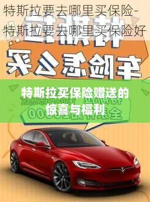特斯拉保险购买赠品与惊喜福利概述-图1 特斯拉保险购买赠品与惊喜福利概述-图1