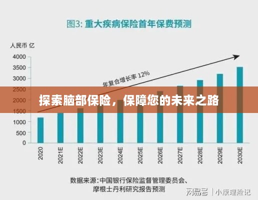 探索脑部保险，为您的未来保驾护航-图1