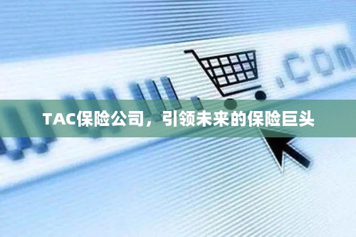 TAC保险公司,引领保险行业未来巨头之路-图1 TAC保险公司,引领保险行业未来巨头之路-图1