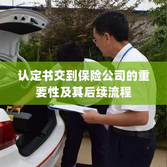 认定书对保险公司的重要性及后续流程详解-图1