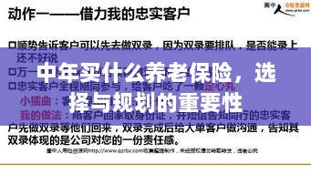 中年养老保险的选择与规划，关键性与策略探讨-图1