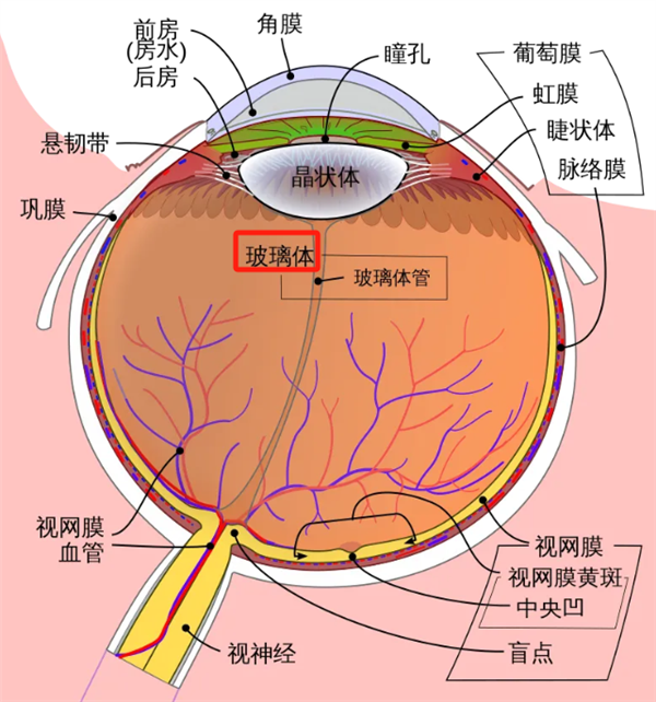 当代人深受这种绝症折磨的困境-图3