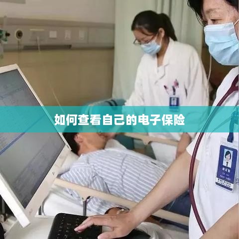 如何查看个人电子保险保单详情-图1 如何查看个人电子保险保单详情-图1