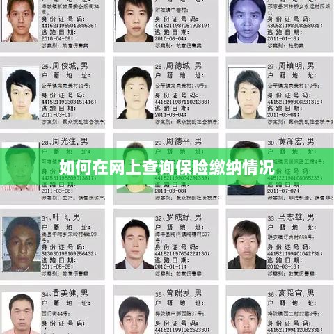 网上查询保险缴纳情况攻略-图1