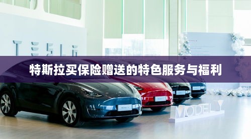 特斯拉保险特惠,独家特色服务与丰厚赠品等你来享-图1 特斯拉保险特惠,独家特色服务与丰厚赠品等你来享-图1