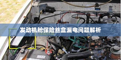 发动机舱保险丝盒漏电问题深度解析-图1